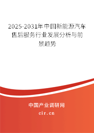 2025-2031年中國新能源汽車售后服務行業發展分析與前景趨勢