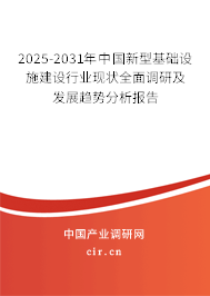 2025-2031年中國新型基礎設施建設行業現狀全面調研及發展趨勢分析報告