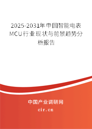 2024-2030年中國智能電表MCU行業(yè)現狀與前景趨勢分析報告