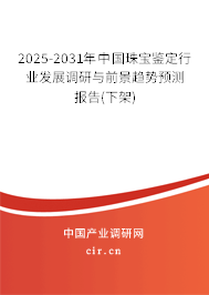 2025-2031年中國珠寶鑒定行業(yè)發(fā)展調(diào)研與前景趨勢預(yù)測報告(下架)
