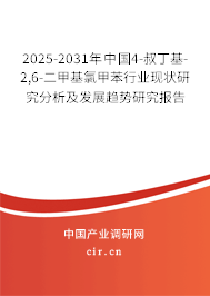 2025-2031年中國4-叔丁基-2,6-二甲基氯甲苯行業現狀研究分析及發展趨勢研究報告