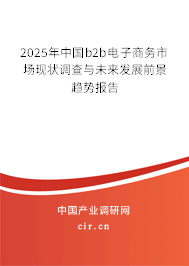 2025年中國b2b電子商務市場現狀調查與未來發展前景趨勢報告
