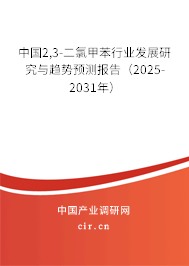 中國2,3-二氯甲苯行業發展研究與趨勢預測報告（2025-2031年）