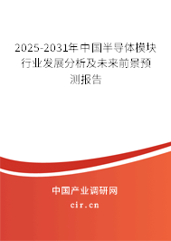 2025-2031年中國半導體模塊行業發展分析及未來前景預測報告