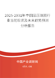 2025-2031年中國層壓端圈行業(yè)當前現(xiàn)狀及未來趨勢預測分析報告