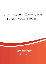 2025-2031年中國安全應急行業研究與發展前景預測報告