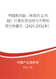 中國苯丙酮（苯基丙-2-丙酮）行業現狀調研與市場前景分析報告（2025-2031年）