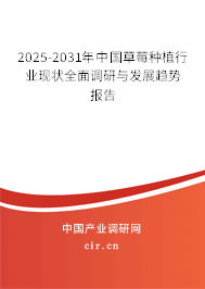 2025-2031年中國草莓種植行業現狀全面調研與發展趨勢報告
