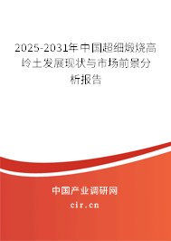 2025-2031年中國超細煅燒高嶺土發展現狀與市場前景分析報告