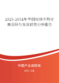 2025-2031年中國電錘市場全面調研與發展趨勢分析報告