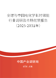 全球與中國電化學長時儲能行業調研及市場前景報告（2025-2031年）