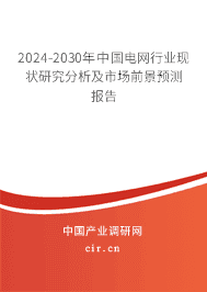 2023-2029年中國電網行業現狀研究分析及市場前景預測報告