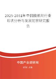 2023-2024年中國腹肌輪行業現狀分析與發展前景研究報告