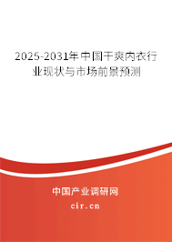 2025-2031年中國干爽內衣行業現狀與市場前景預測