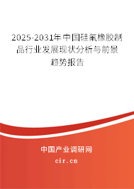 2025-2031年中國硅氟橡膠制品行業發展現狀分析與前景趨勢報告