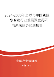 2024-2030年全球與中國肌酸一水合物行業發展深度調研與未來趨勢預測報告
