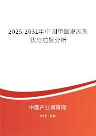 2025-2031年中國甲酯發展現狀與前景分析