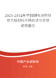 2025-2031年中國鋰電池用硅碳負極材料市場現狀與前景趨勢報告