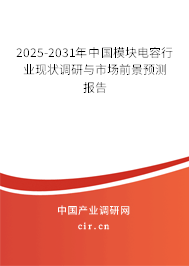 2025-2031年中國模塊電容行業(yè)現狀調研與市場前景預測報告