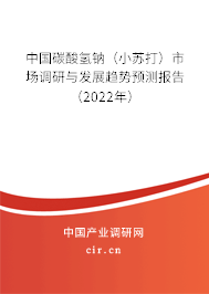 中國(guó)碳酸氫鈉（小蘇打）市場(chǎng)調(diào)研與發(fā)展趨勢(shì)預(yù)測(cè)報(bào)告（2022年）