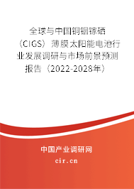 全球與中國銅銦鎵硒（CIGS）薄膜太陽能電池行業發展調研與市場前景預測報告（2022-2028年）
