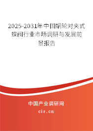 2024-2030年中國蝸輪對夾式蝶閥行業市場調研與發展前景報告