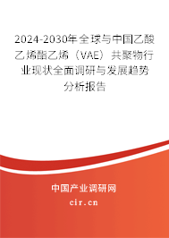 2024-2030年全球與中國乙酸乙烯酯乙烯（VAE）共聚物行業現狀全面調研與發展趨勢分析報告