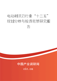 電動剃須刀行業“十二五”規劃分析與投資前景研究報告