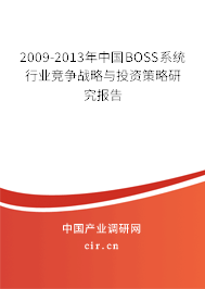 2009-2013年中國BOSS系統行業競爭戰略與投資策略研究報告