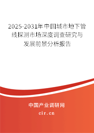 2025-2031年中國城市地下管線探測市場深度調查研究與發展前景分析報告