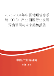 2025-2031年中國地理信息系統（GIS）產業園區行業發展深度調研與未來趨勢報告