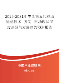 2025-2031年中國第五代移動通信技術（5G）市場現狀深度調研與發展趨勢預測報告