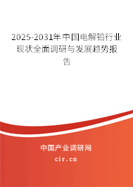 2025-2031年中國電解鉛行業現狀全面調研與發展趨勢報告