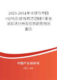 2025-2031年全球與中國HEPA高效微粒過濾網行業發展現狀分析及前景趨勢預測報告