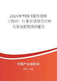 2025年中國IT服務管理（ITSM）行業現狀研究分析與發展趨勢預測報告