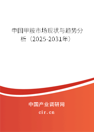 中國甲胺市場現狀與趨勢分析（2025-2031年）