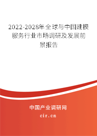 2022-2028年全球與中國建模服務行業市場調研及發展前景報告