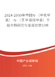 2024-2030年中國N-（甲氧甲基）-N-（三甲基硅甲基）芐胺市場研究與發展前景分析