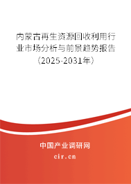 內蒙古再生資源回收利用行業市場分析與前景趨勢報告（2025-2031年）