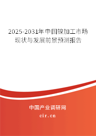 2025-2031年中國鎳加工市場現狀與發展前景預測報告