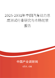 2025-2031年中國汽車動力總成測試行業研究與市場前景報告