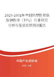 2025-2031年中國熱塑性聚氨酯彈性體（TPU）行業研究分析與發展前景預測報告