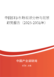 中國STB市場現狀分析與前景趨勢報告（2025-2031年）