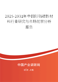 2025-2031年中國釤鈷磁性材料行業研究與市場前景分析報告