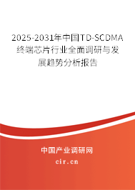 2025-2031年中國TD-SCDMA終端芯片行業全面調研與發展趨勢分析報告
