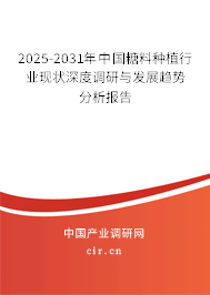 2025-2031年中國糖料種植行業現狀深度調研與發展趨勢分析報告