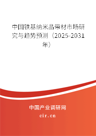 中國鐵基納米晶帶材市場研究與趨勢預測（2025-2031年）