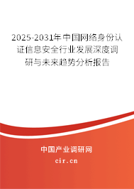 2025-2031年中國網絡身份認證信息安全行業發展深度調研與未來趨勢分析報告
