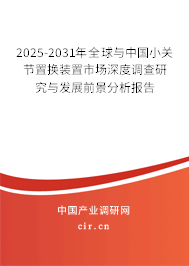 2024-2030年全球與中國小關節置換裝置市場深度調查研究與發展前景分析報告