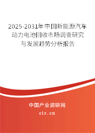 2025-2031年中國新能源汽車動力電池回收市場調查研究與發展趨勢分析報告